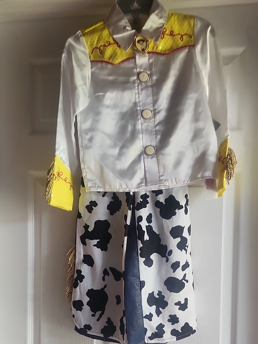 Toy Story Disney Jessie Costume.